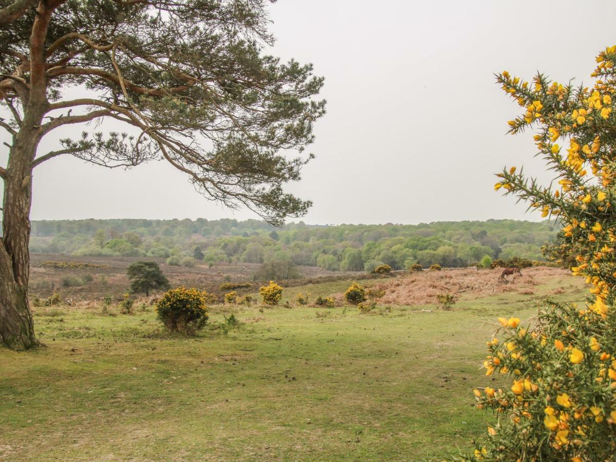 Orchard Annexe Villa Lymington Exteriör bild